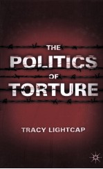 the politics of torture