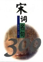 宋词名句300