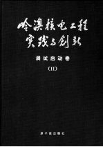 岭澳核电工程实践与创新 调试启动卷 II 常规岛及电站配套设施与电气仪表调试