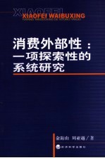 消费外部性 一项探索性的系统研究