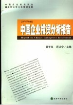 中国企业投资分析报告 2005年版