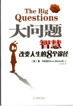 大问题 智慧改变人生的8个途径