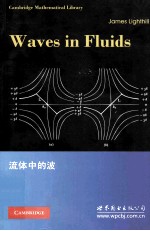 WAVES IN FLUIDS=流体中的波