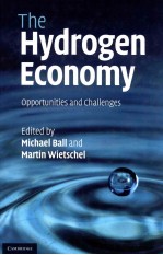 The hydrogen economy : opportunities and challenges