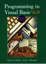 Programming in visual basic