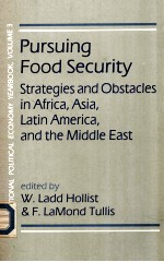 Pursuing food security : strategies and obstacles in Africa