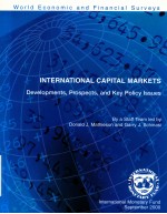 INTERNATIONAL CAPITAL MARKETS DEVELOPMENTS