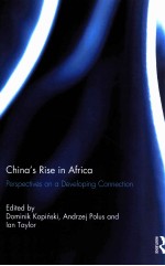 China's rise in Africa : perspectives on a developing connection