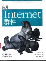 实用Internet群件