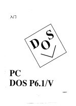 IBM PC DOS P6.1/V 安装与入门手册 入门