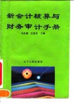 新会计核算与财务审计手册