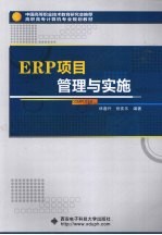 ERP项目管理与实施