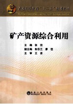 普通高等教育“十二五”规划教材 矿产资源综合利用