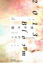 盛开年选 2013 小说卷