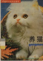 养猫