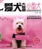 小型犬 爱犬大联盟