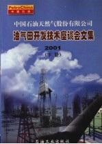 中国石油天然气股份有限公司油气田开发技术座谈会文集 2001 下