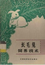 长毛兔饲养技术