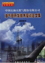 中国石油天然气股份有限公司油气田开发技术座谈会文集 2001 上