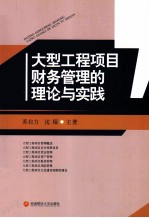 大型工程项目财务管理的理论与实践