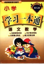 小学学习一本通 语文·数学 第9册 人教大纲