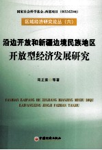 沿边开放和新疆边境民族地区开放型经济发展研究