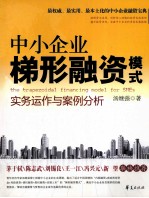 中小企业梯形融资模式实务运作与案例分析