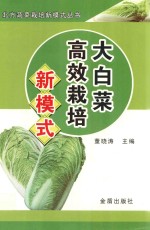 大白菜高效栽培新模式