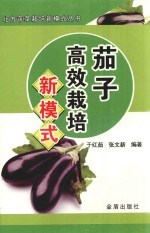 茄子高效栽培新模式