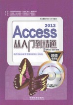 Access 2013从入门到精通 超值视频版