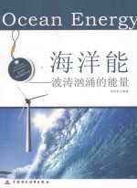 海洋能 波涛汹涌的能量