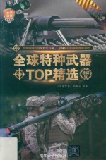 全球特种武器TOP精选