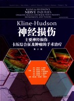 KLINE-HUDSON神经损伤  主要神经损伤、卡压综合征及肿瘤的手术治疗  第2版