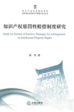 知识产权惩罚性赔偿制度研究 ＝ STUDY ON SYSTEM OF PUNITIVE DAMAGES FOR INFRINGEMENT ON INTELLECTUAL PROPERTY RIGHTS