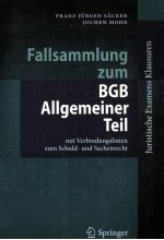 fallsammlung zum bgb allgemeiner teil