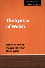 the syntax of welsh