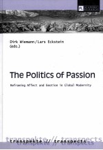 the politics of passionfeframing affect and emotion in global modernity