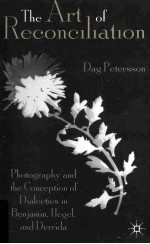 the art of reconciliationphotography and the conception of dialectics in benjamin