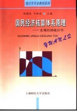 国民经济核算体系原理  宏观经济统计学