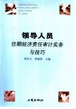 领导人员任期经济责任审计实务与技巧