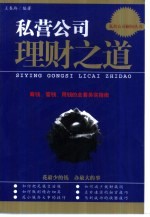 私营公司理财之道 筹钱、管钱、用钱全套实务指南