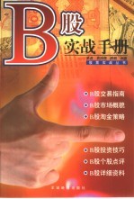 B股实战手册