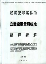 经济犯罪案件的立案定罪量刑标准新释新解