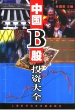 中国B股投资大全