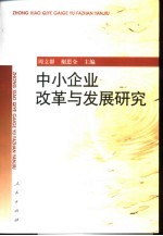 中小企业改革与发展研究