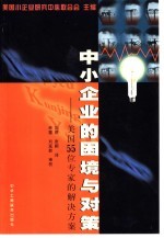 中小企业的困境与对策 美国 55 位专家的解决方案