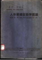 上海第一医学院 人体组织胚胎学图谱