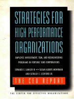 STRATEGIES FOR HIGH PERFORMANCE ORGANIZATIONS THE CEO REPORT