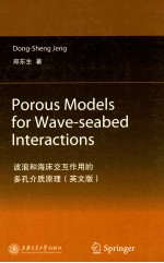 Porous Models for Wave-seabed Interactions