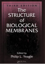 THE STRUCTURE OF BIOLOGICAL MEMBRANES THIRD EDITION